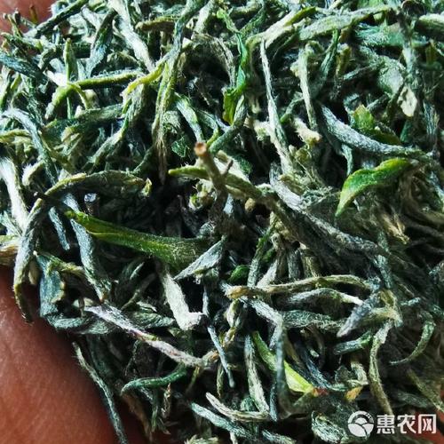 2025年信阳毛尖绿茶 散装食用农产品 产地直发